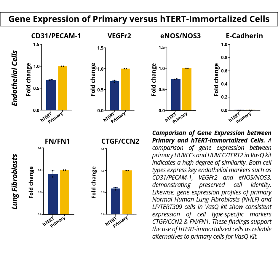 VasQ Kit idenTx_Gene Expression VasQ Kit Product Validation Figure 2